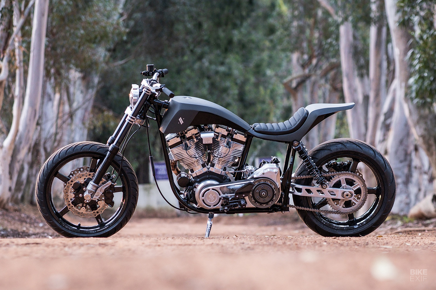 남아프리카의 Baurenuckle Harley Shovel |…